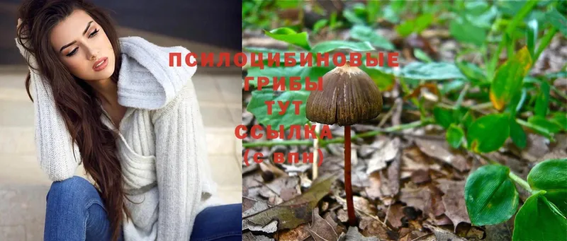 Псилоцибиновые грибы Cubensis  как найти закладки  Бирюч 